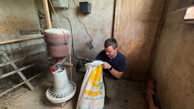 Пошли грибы. Показываю огород. Заселил апидомик. Кормим кур. смотреть онлайн