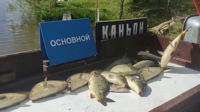 Каньон рыбалка 10.06.#каньон смотреть онлайн
