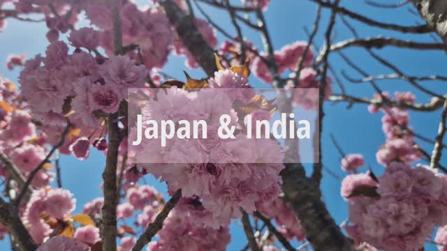 Япония и Индия - апрель 2023 смотреть онлайн