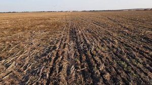 Выращивание оз.пшеницы. No-till 13.09.2018. Посев оз.пшеницы