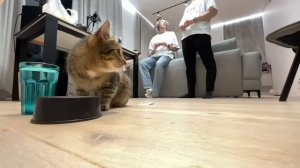 ХАЗЯЕВА ДОМА С ПАЦАНАМИ