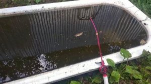 Ловля КАРАСЯ на ЗИМНИЕ удочки прямо на дачном УЧАСТКЕ