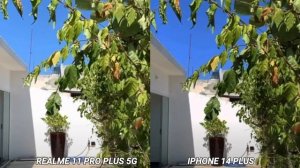 Realme 11 pro plus 5G Vs iPhone 14 plus camera test