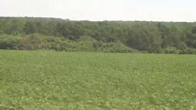 Лучки Белгородская область / белгородская область белгород