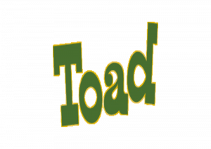 Toad Biography