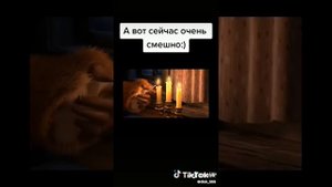 Миха и маха