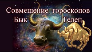 Совмещение гороскопов. Бык телец