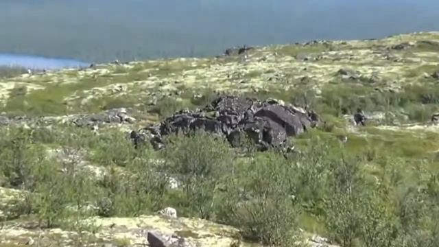 «ЛАПЛАНДСКИЙ ЗАПОВЕДНИК» смотреть онлайн