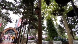 В Трабзон на машине 2022. Турецкие блюда. Дом Ататюрка. Панорама Трабзона с вершины холма Бозтепе.