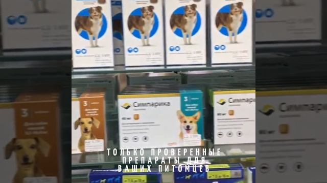 Открытие ветеринарной аптеки Мистер Гав (Челябинск) смотреть онлайн