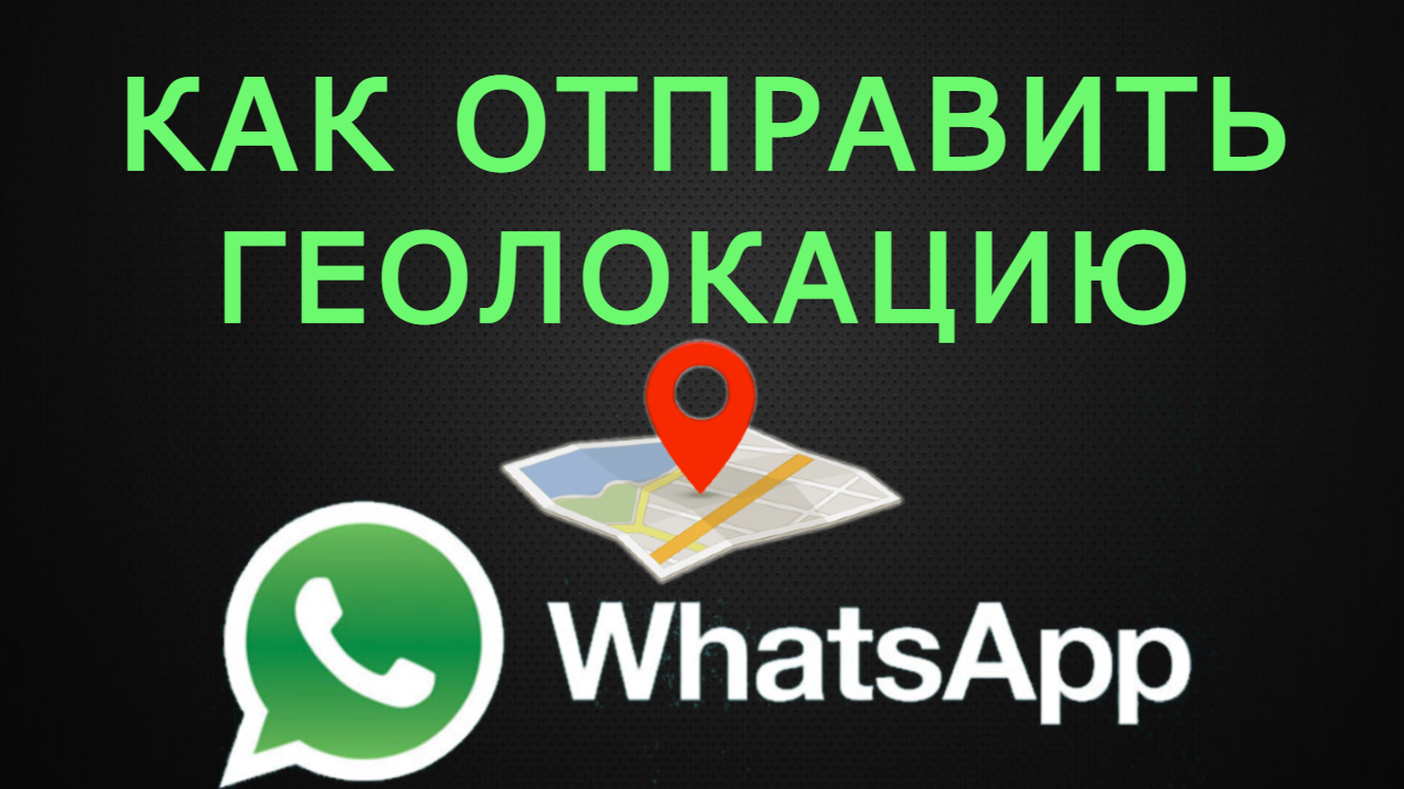 Как отправить местоположение в WhatsApp. Как отправить геолокацию