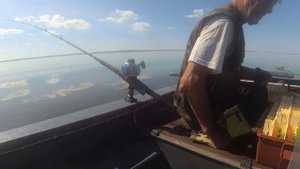 Озеро Ильмень троллинг, на улице 30 градусов