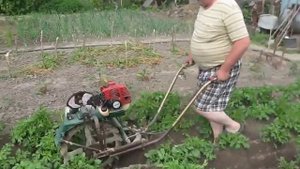 Окучиватель картофеля, двигатель с мото-косы, самоделка.
