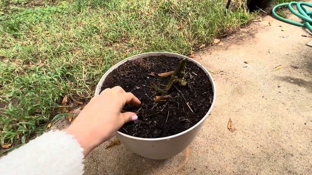 Выжгли все смотреть онлайн