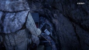 RDR 2 - Где найти 2 УНИКАЛЬНЫХ ПРЕДМЕТА: Флюорит и Аммонит