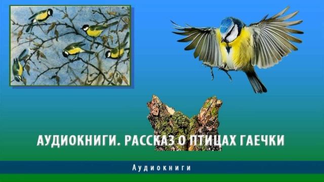 Гаечки,   Михаил  Пришвин, Рассказы о птицах , читает Павел Беседин