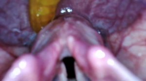 Gummy Worm Swallow