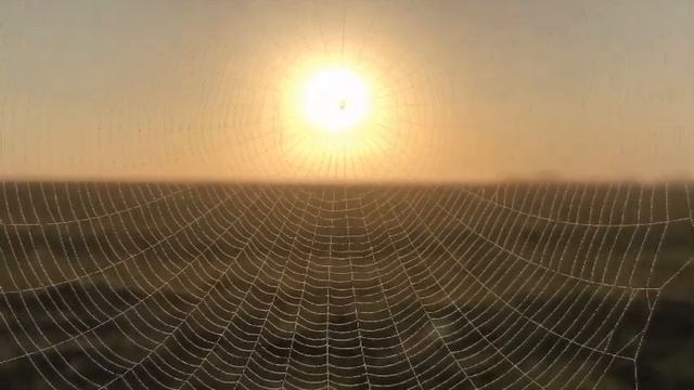 Лучшие стихи для души/ Бог проживёт и без меня. Любовь Лерокс/ рассказываю любимую поэзию