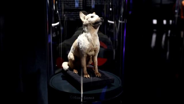 КосмоДаша в Музее космонавтики. Часть 1.