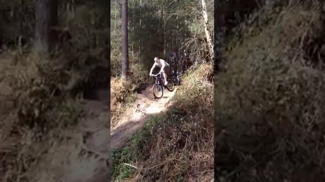 Thetford Forest Squirrel Bomb Pit (red route 1)