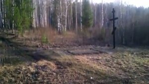 Пел соловей, ах как он пел...и тишина ему внимала...