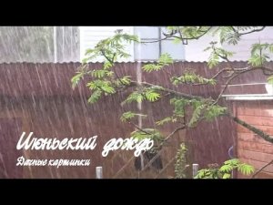 Июньский дождь. Дачные картинки.