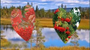 Рябина  Тамара Козлова