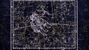 Близнецы в год Крысы - характер