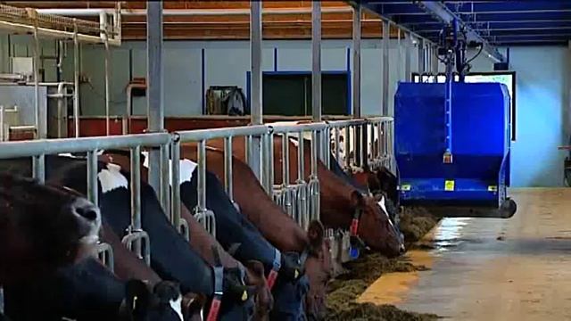 Системы кормления OptifeedingTM от ДеЛаваль