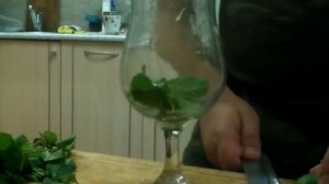 Махито в домашних условиях