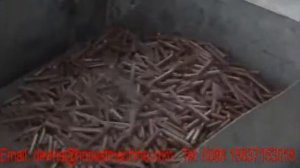 vertical ring die pellet machine  / pellet mill