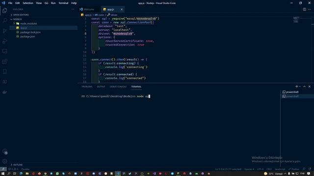 Nodejs Connect MSSQL