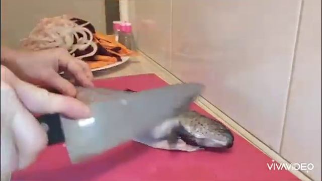Рыба форель с овощами в духовке