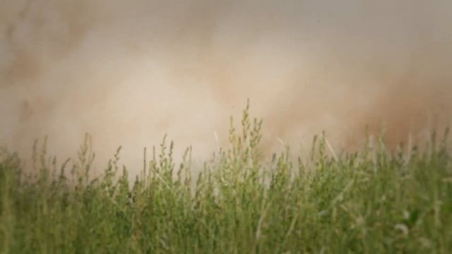 Formula Cross Rally Fun Rhys Millen, Rod Millen, Greg Trachy & Steve Tutt at Pikes Peak смотреть онлайн
