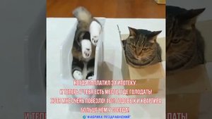 Когда заплатил за ипотеку. И теперь у тебя есть место, где голодать!