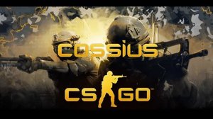 CSGO Жирик очень оценил