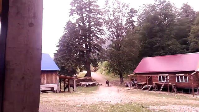 Приют Чуба (В.Чуб) смотреть онлайн