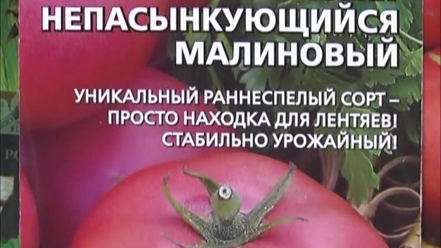 "Томаты для ленивых": безрассадные и непасынкующиеся. Хит-парад сортов смотреть онлайн