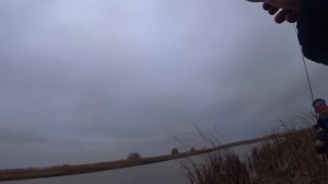 ЛОВЛЯ СУДАКА НА СПИННИНГ С БЕРЕГА - РЫБАЛКА В НОЯБРЕ