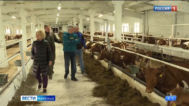 Совхоз Ведлозерский увеличит надои смотреть онлайн