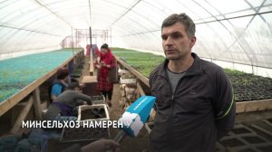 Хабаровский край может самостоятельно обеспечивать себя овощами