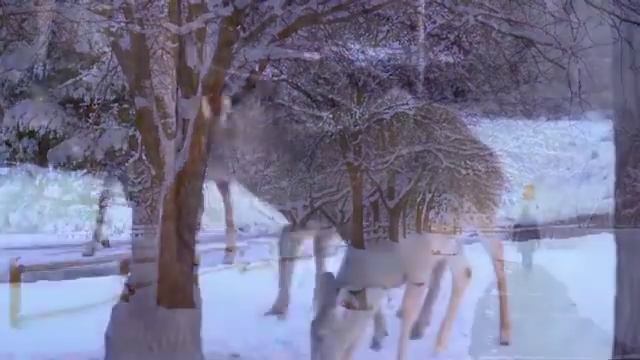 Russian Orthodox Church Music | ПСАЛОМ 1 | церковная музыка смотреть онлайн