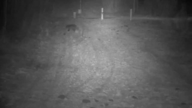 Без визы и паспорта через границу