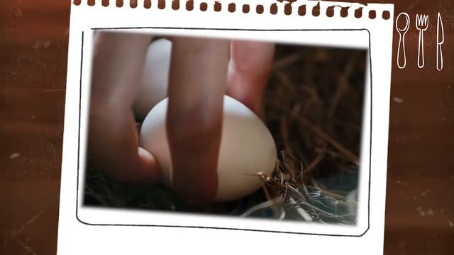 Куриные яйца: кулинарные истории