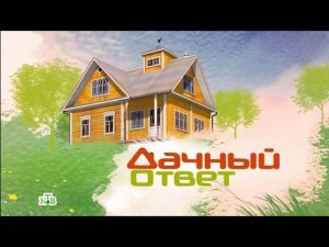 "Дачный ответ": Клетчатый сад под вековыми соснами