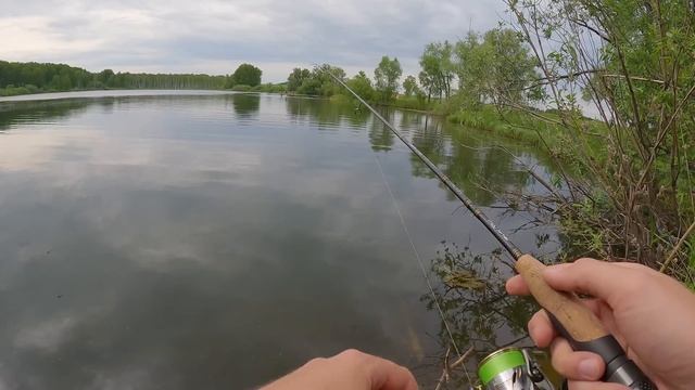 Да СКОЛЬКО же РЫБЫ В ЭТОМ ПРУДУ!? Рыбалка на спиннинг. Разведка мест на ультралайт смотреть онлайн