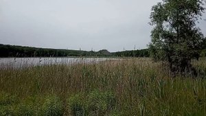 Отдых на водоемах Донецка. Пруд Кирша. # 183.