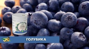 БИОПРЕПАРАТ ДЛЯ РОСТА ГОЛУБИКИ