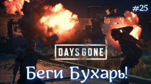 Фейерверк в DAYS GONE #25 Жизнь после