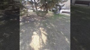 Красноярск  Центр